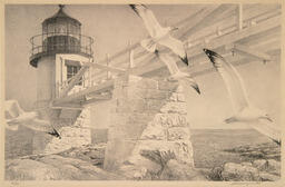 Coast of Maine: 