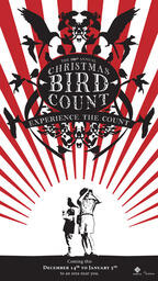 Christmas Bird Count: Experience the Count