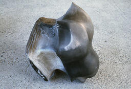 [Work by Jose Cawsey]