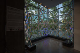 Illuminated Forms