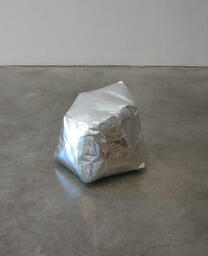 Projects for Micro-Utopia, Project #5
