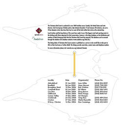The Christmas Bird Count