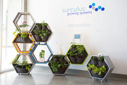 Surculus Growing Systems