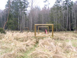 Untitled (Frame Project)
