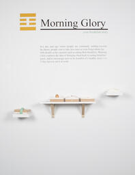 Morning Glory