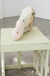 Horse Skull