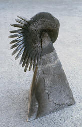 [Work by Marilyn Bercovich]