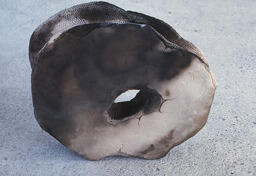 [Work by Jose Cawsey]