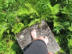 Glacier National Park Residency: field notes (part 4)