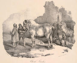 Cheval Cauchois, No, 4: 