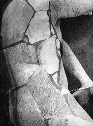 Turned to Stone