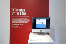 Extinction by the Bowl: An infographic on the effects of shark finning.