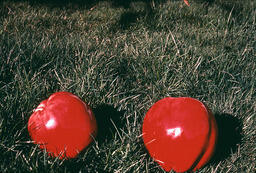 [Work by Jose Cawsey]