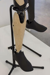 The Proæsthetic Project: (detail)
