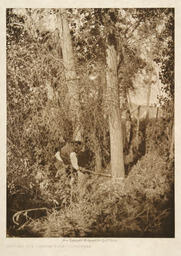 Cutting the Centre-Pole - Cheyenne: 