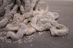 Corpus; detail