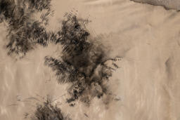 When I Am When I Land Between the Waves (detail view 2)