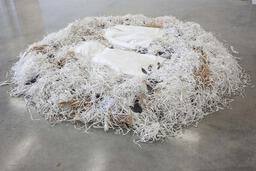 Nest