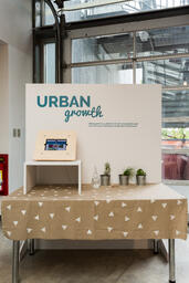 Urban Growth