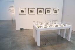Ma Miaeem va Miravim (We Come and Go), MFA Interim Exhibition