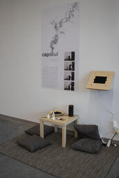 Capsoul