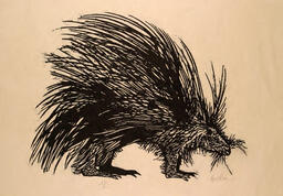Porcupine: 
