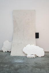SITE V