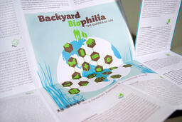 Backyard Biophilia