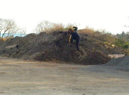 Shovelling Piles: Trail Head