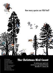 The Christmas Bird Count