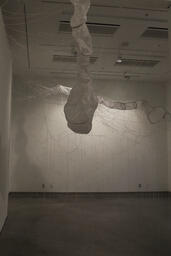 Detail of The Shadows of Webs
