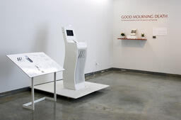 Installation view