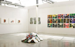 Installation view