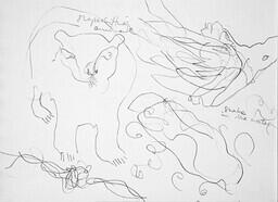 Sensory Drawing, Lake Ontario, Kingston