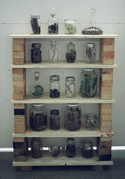 Souvenirs of an Impermanent Landscape