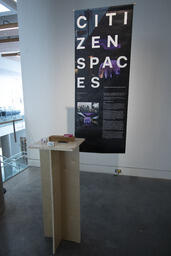 Citizen Spaces