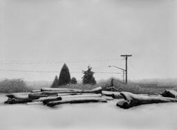 Untitled (Snow)
