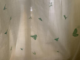 Phototaxis, silk