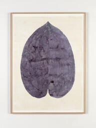 Salal / Heart on the Chest