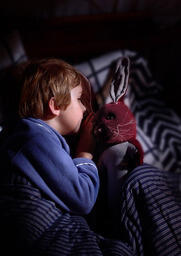 The Velveteen Rabbit