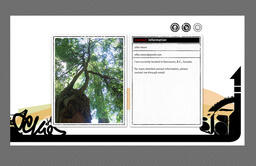 Personal Portfolio website