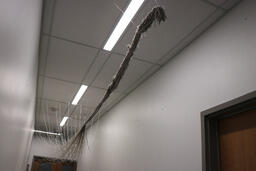 Installation view of Follow Me