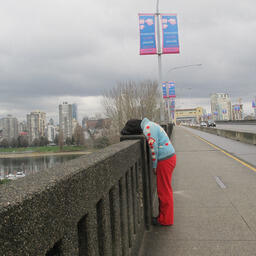 Bridge affection