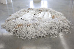 Nest
