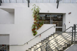 Growing Agricultural Architecture