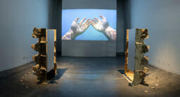 Immersion Installation
