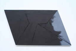 Untitled (black Oak) (Detail)
