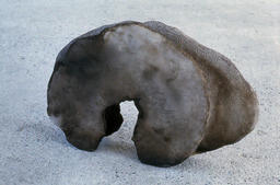 [Work by Jose Cawsey]