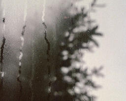 Finding The Pieces, Image 8