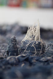 'Resurge' (detail)